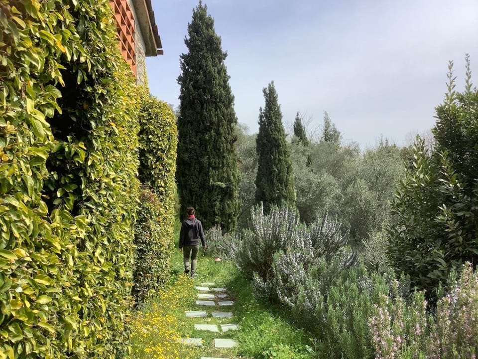 Property building, Garden, Garden