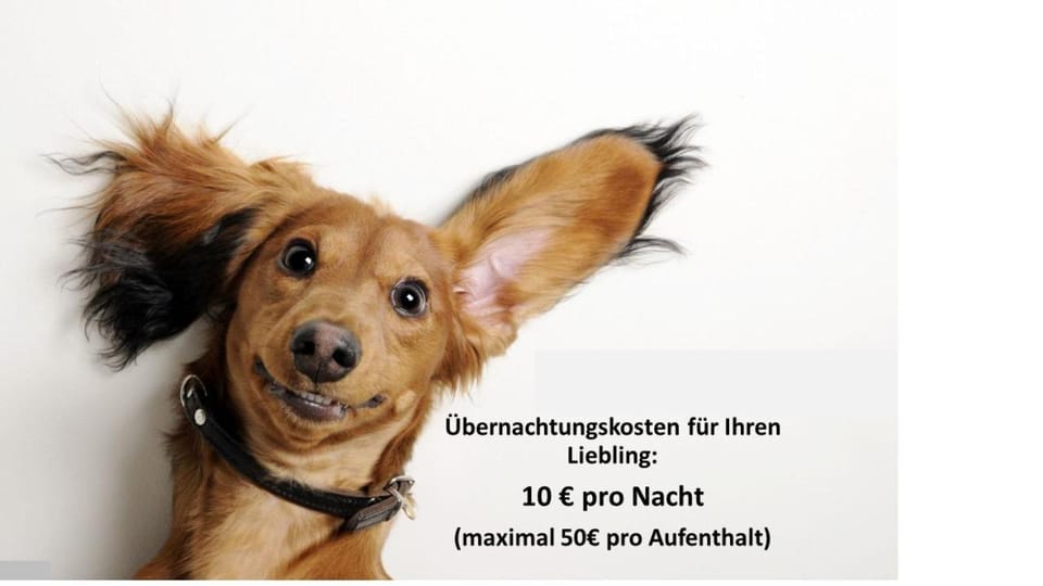 Frisch saniertes Apartment am Falderapark Apartment in Neumünster