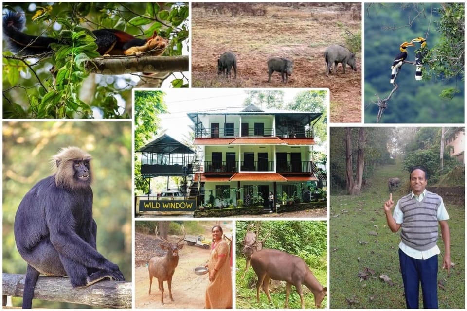 Wild Window - Forest View Homestay Vacation rental in Kerala