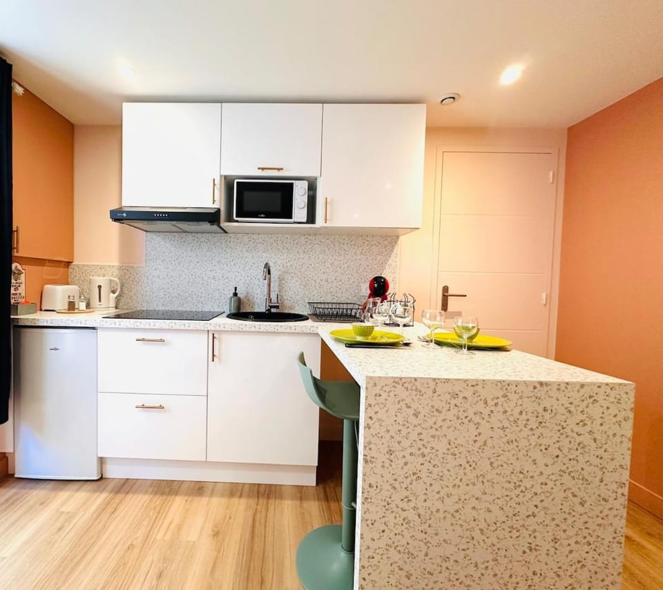 Studio haut de gamme rénové Centre & Gare Wifi Apartment in Le Mans