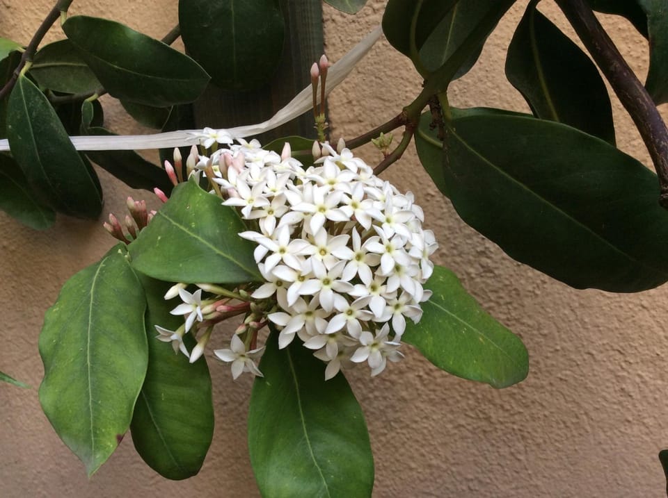 B&B Livingstone Bed and Breakfast in Cagliari