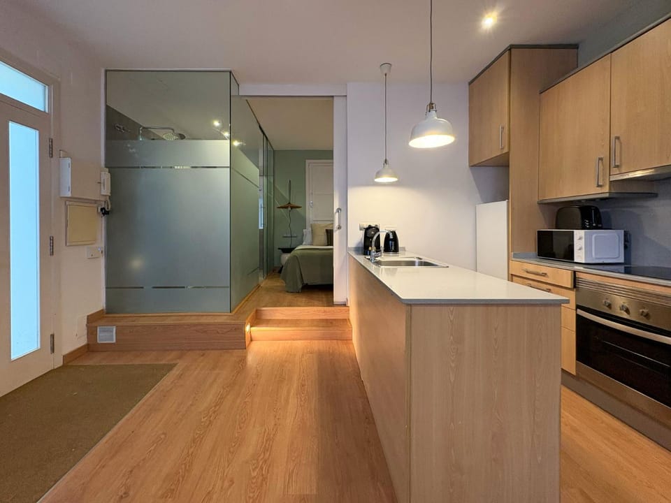 Kitchen or kitchenette, oven, stove