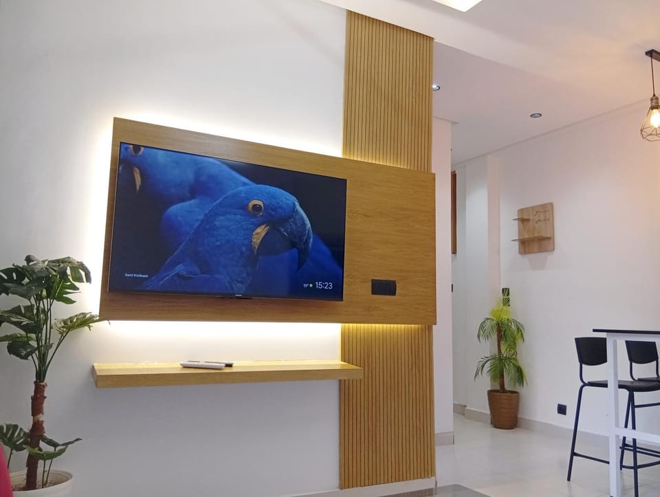 TV and multimedia, Evening entertainment