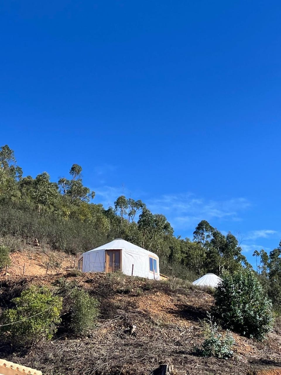 Property building, Day, Natural landscape