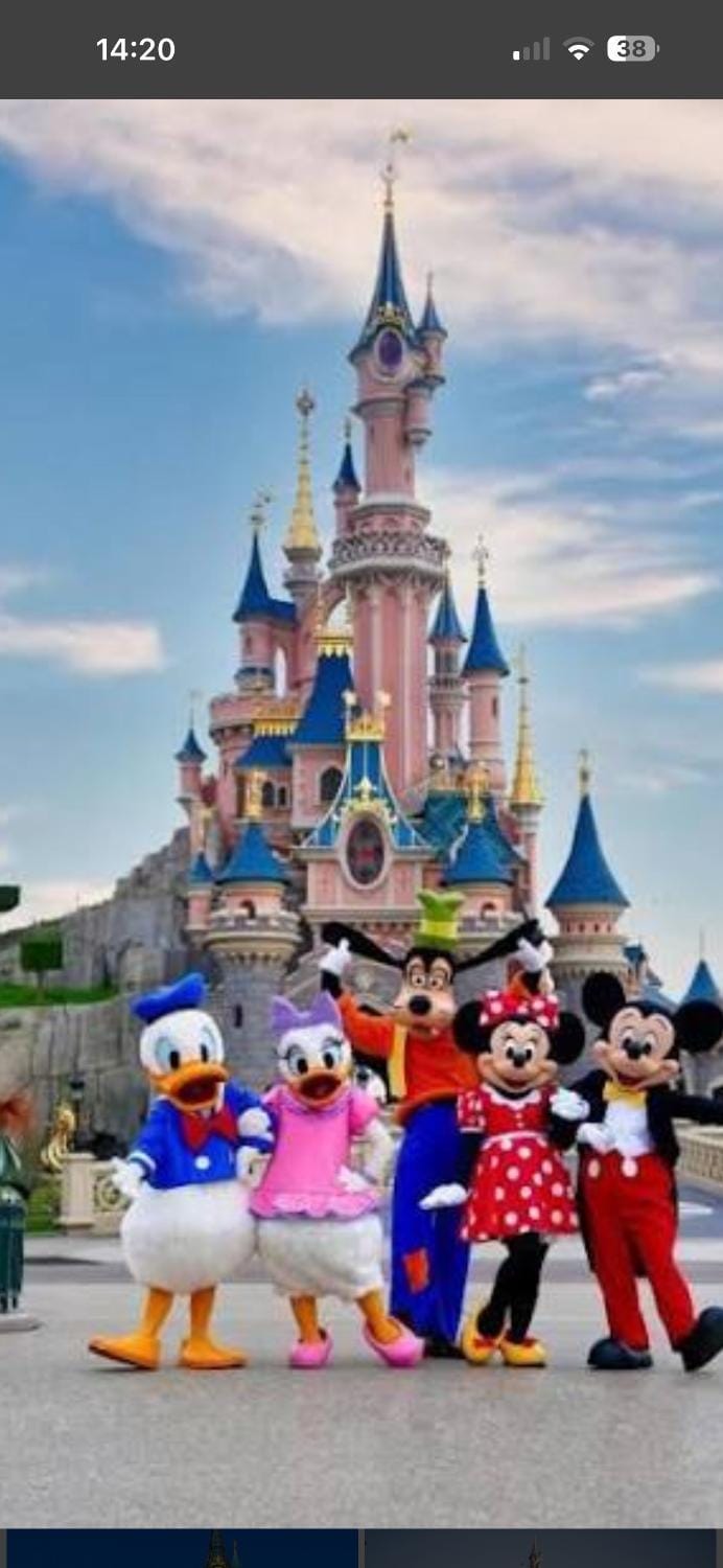 Disney golden house House in Magny-le-Hongre