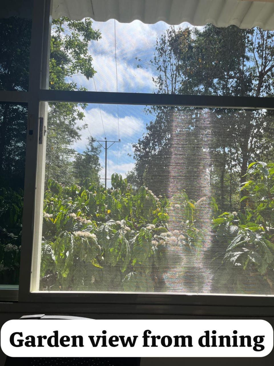 View (from property/room), Garden view, Garden view
