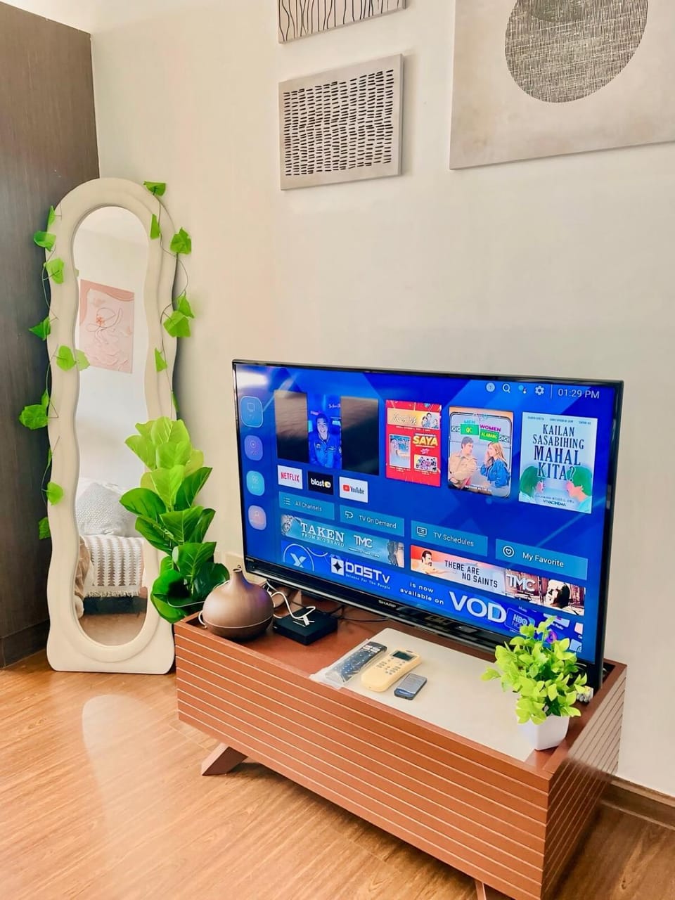 TV and multimedia