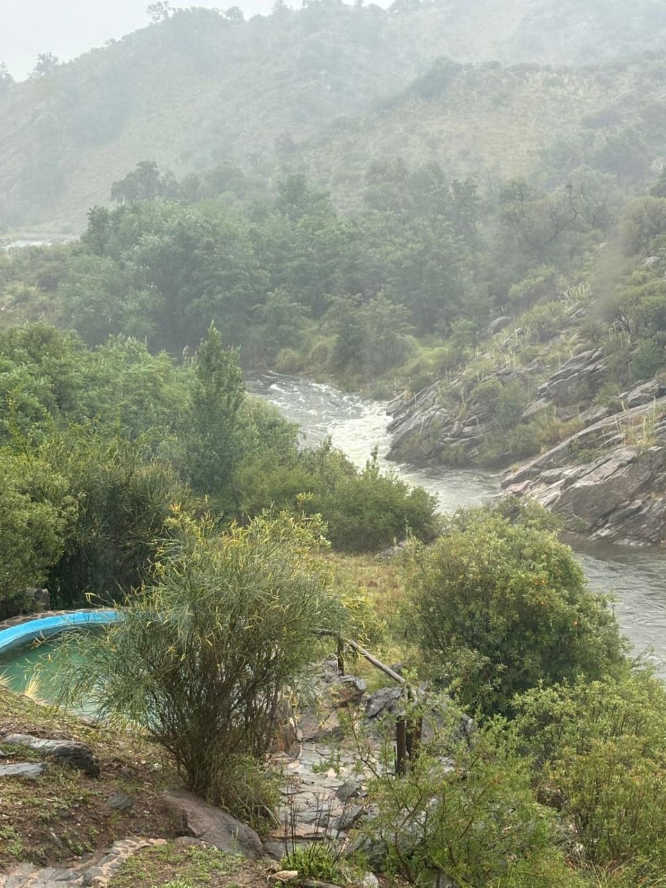 Garden, River view, Swimming pool