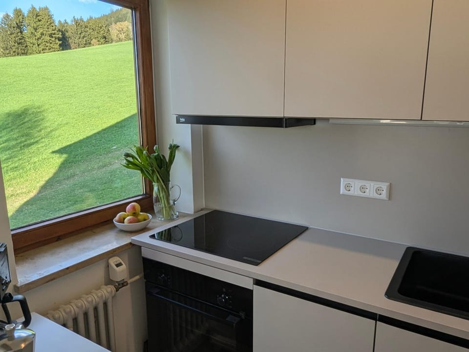 Kitchen or kitchenette, stove