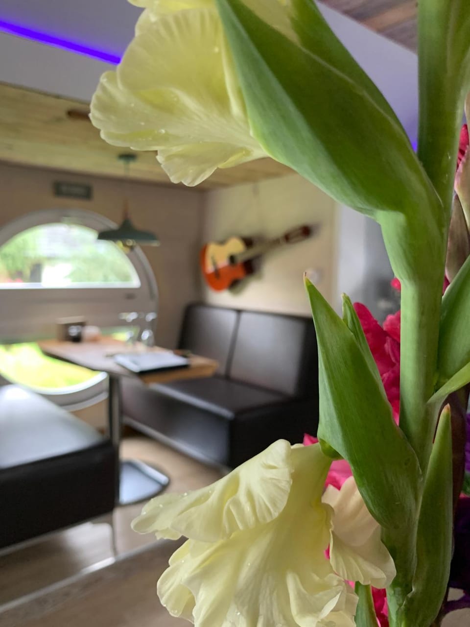Zirkuswagen auf Rädern, Tinyhouse, Tinyhaus, auf grüner Wiese, ländlich, nahe Hamburg, Natur Luxury tent in Lower Saxony, Germany