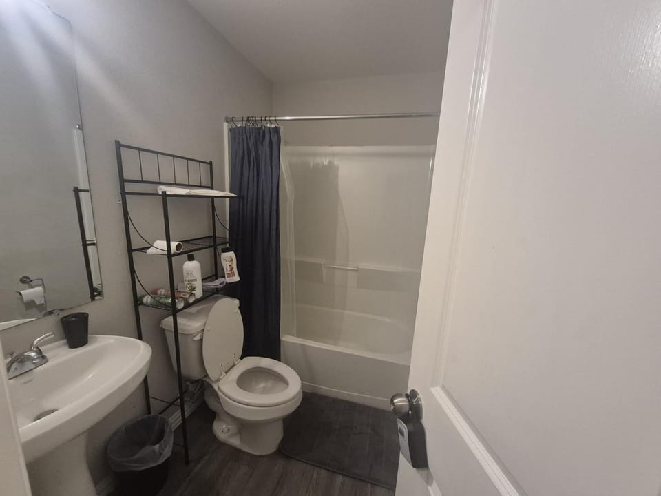 Toilet, Bathroom, Bath