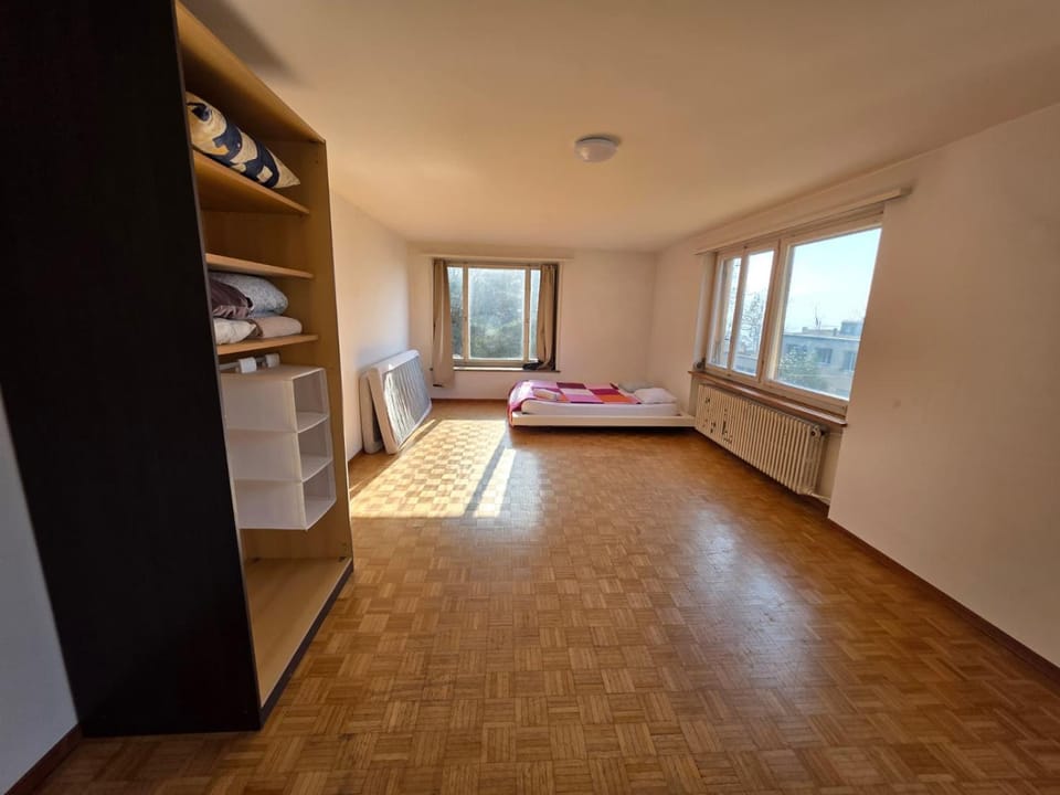 Center City Flats with Balcony - Rigi Apartment in Zurich City
