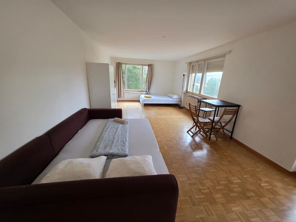 Center City Flats with Balcony - Rigi Apartment in Zurich City