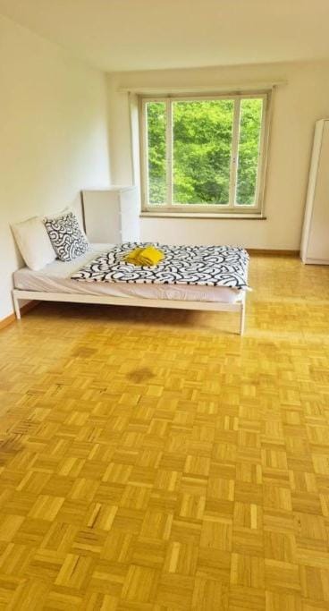 Center City Flats with Balcony - Rigi Apartment in Zurich City