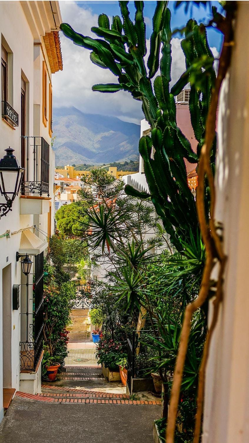 Property building, Day, Neighbourhood, Natural landscape, Garden, Mountain view, Street view