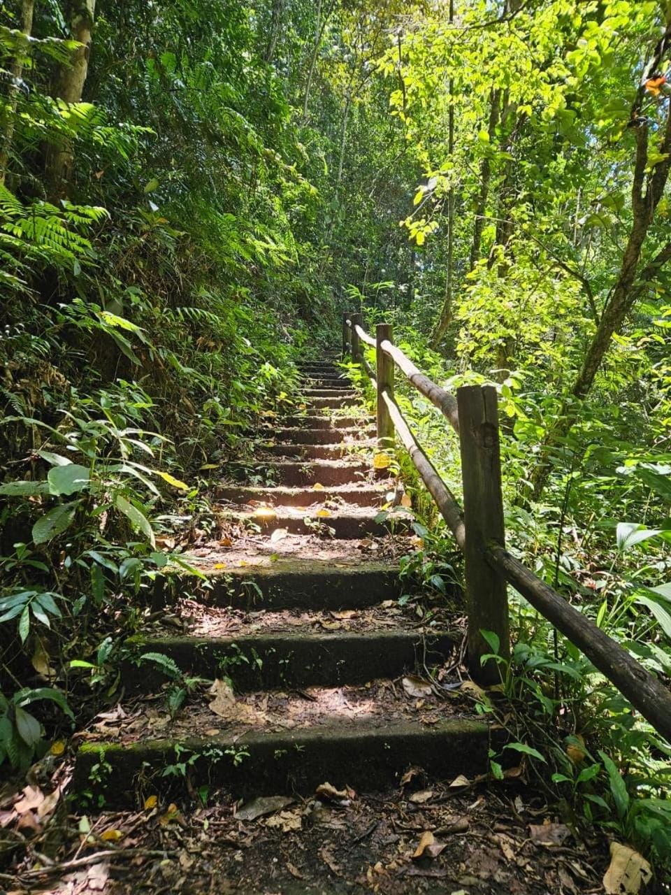 Casa confortável na Serra de Casimiro de Abreu, Pai João -14 km do Sana House in State of Rio de Janeiro