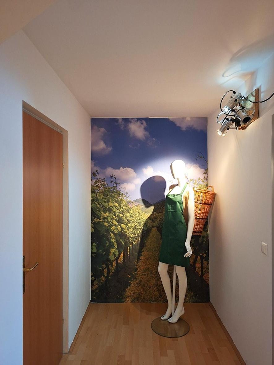 Winery-Appartement Apartment in Graz