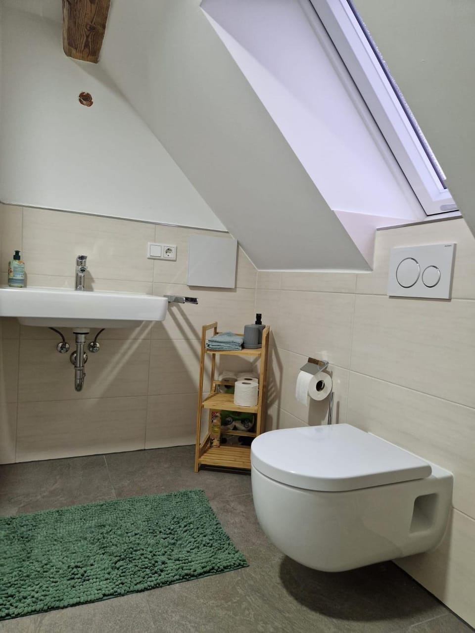 Toilet, Bathroom