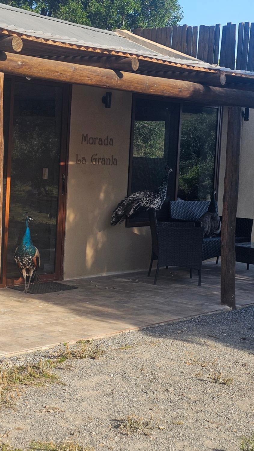 Property building, Off site, Animals