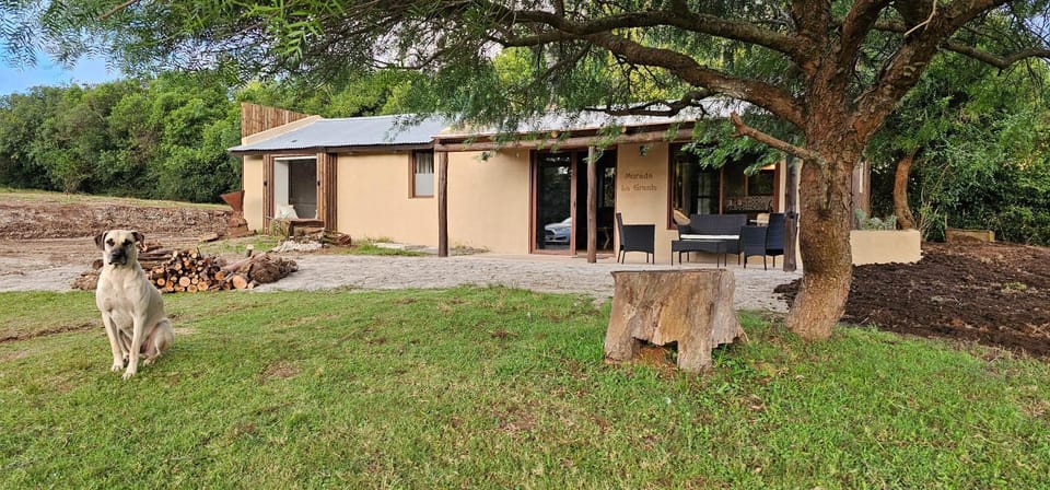 Property building, Garden, Animals