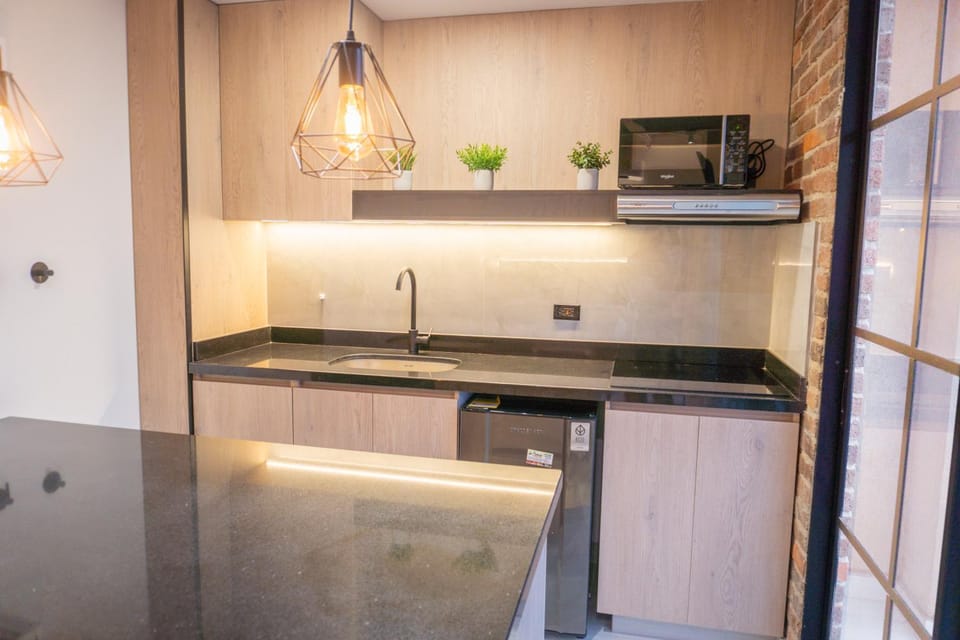Kitchen or kitchenette, kitchen