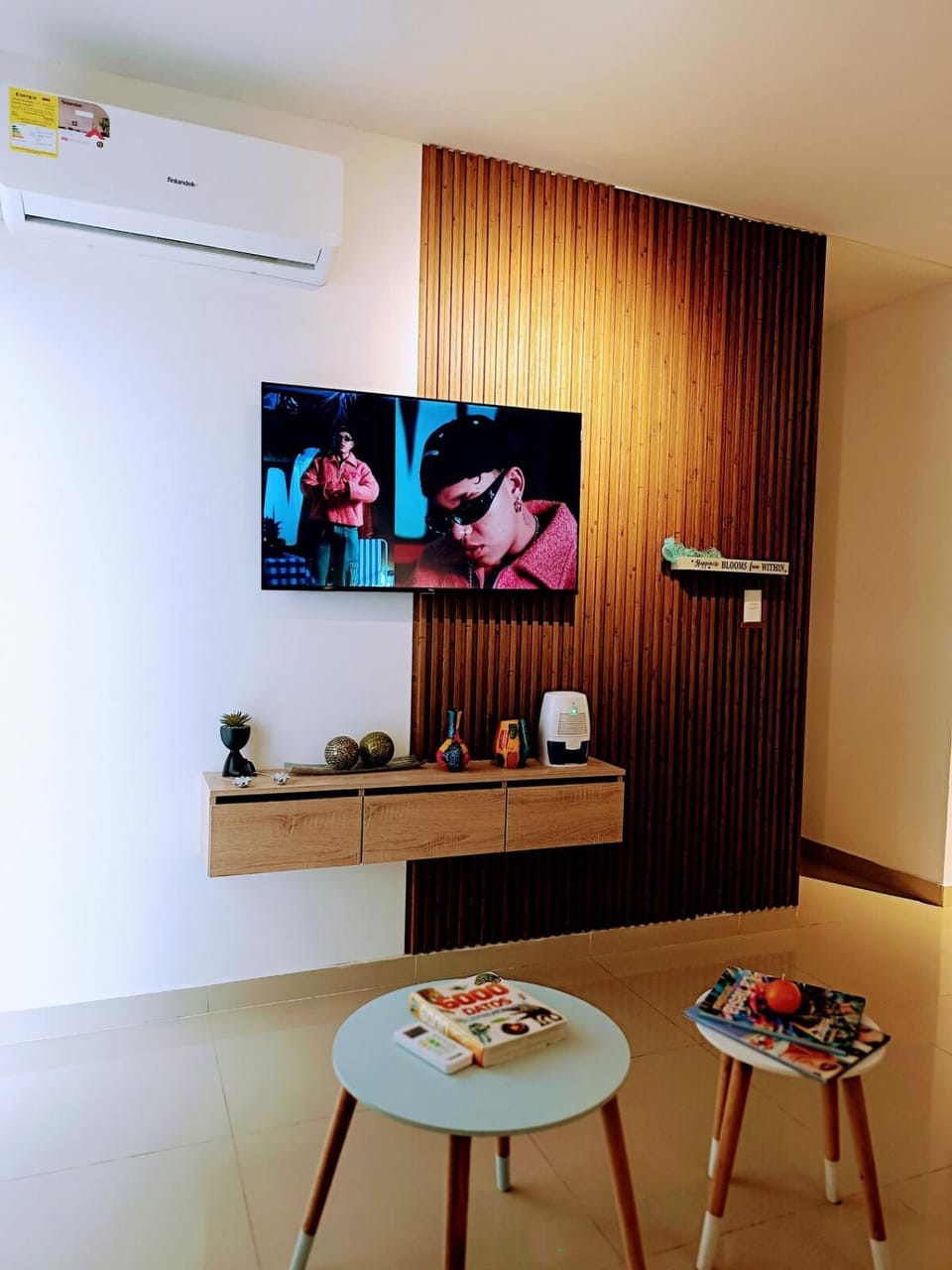 TV and multimedia, air conditioner