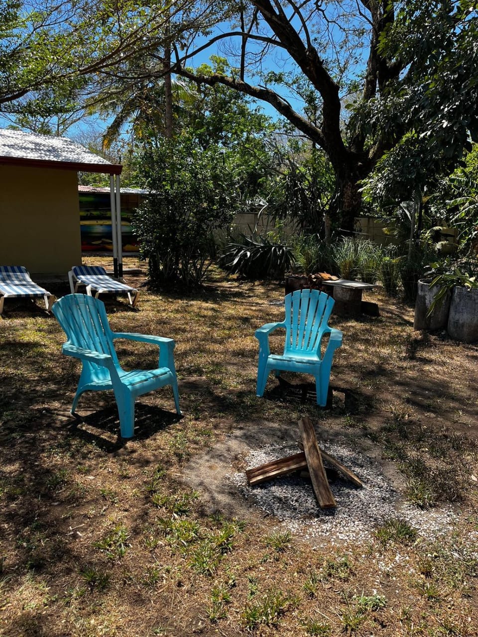 Patio, Garden
