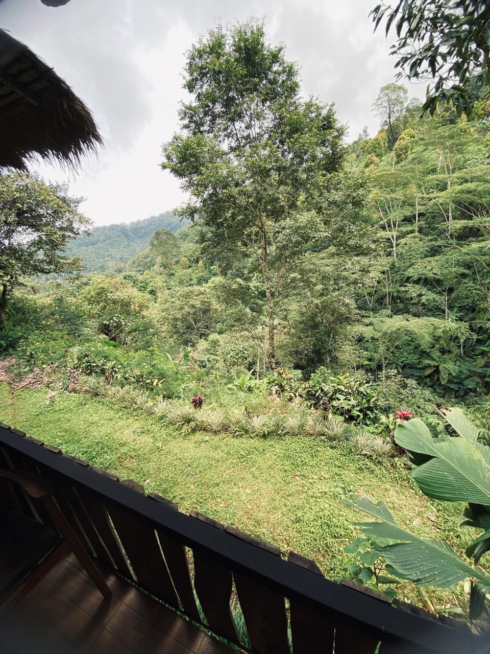 Garden view