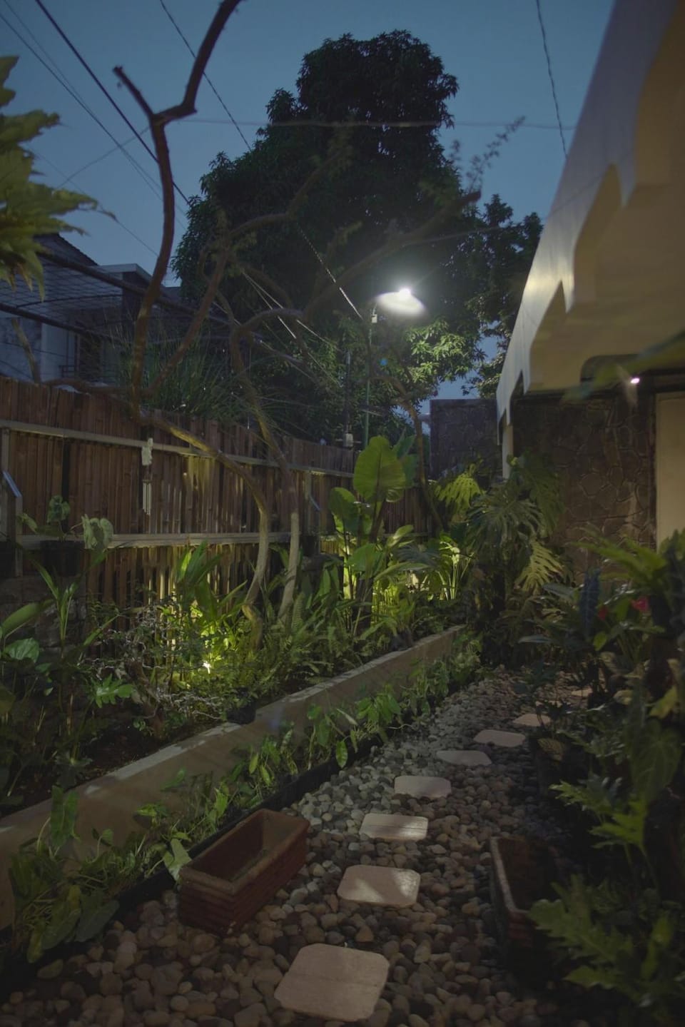 Spring, Night, Garden, Garden view