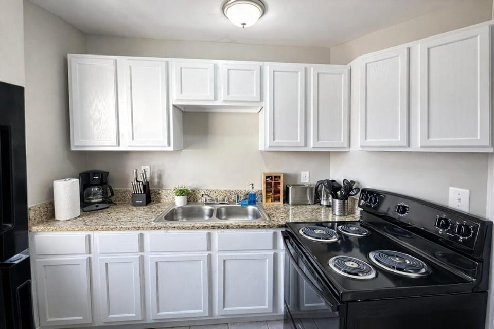 Downtown Birmingham Business 1BR Retreat with Wi-Fi and Free Parking Near UAB Apartment in Birmingham