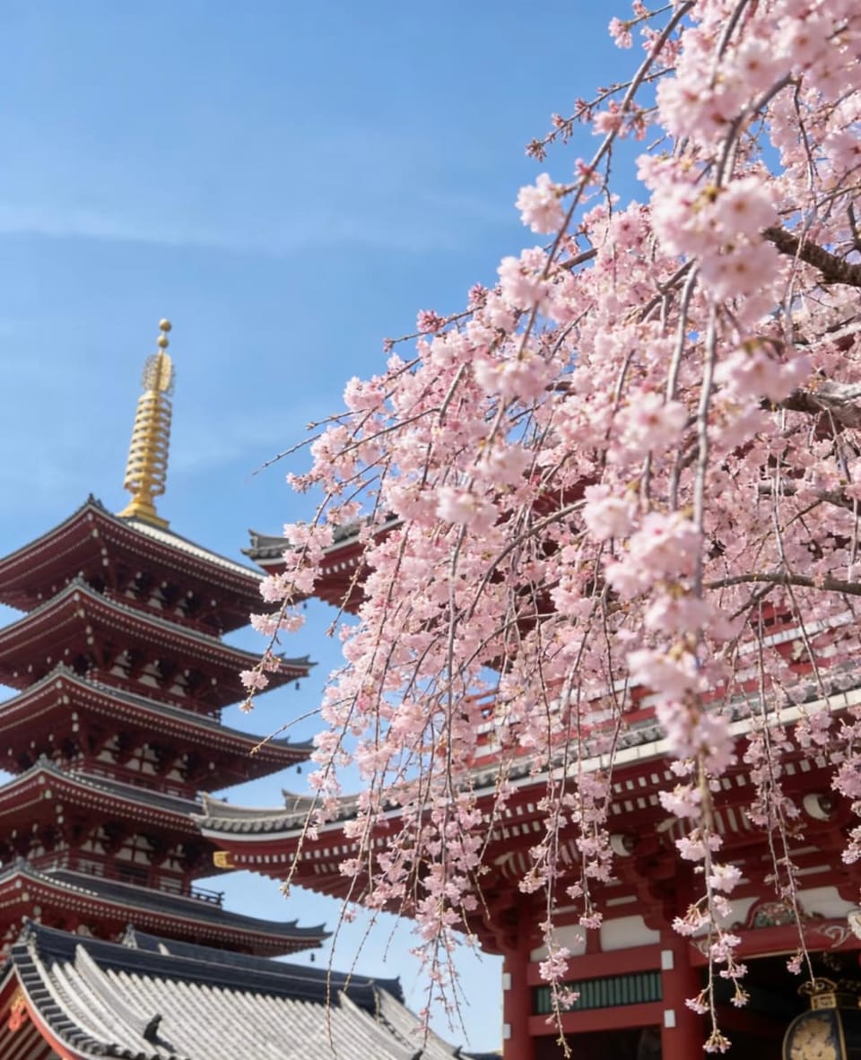 TOKYO AKATSUKI HOTEL - Asakusa - Bed and Breakfast in Chiba Prefecture