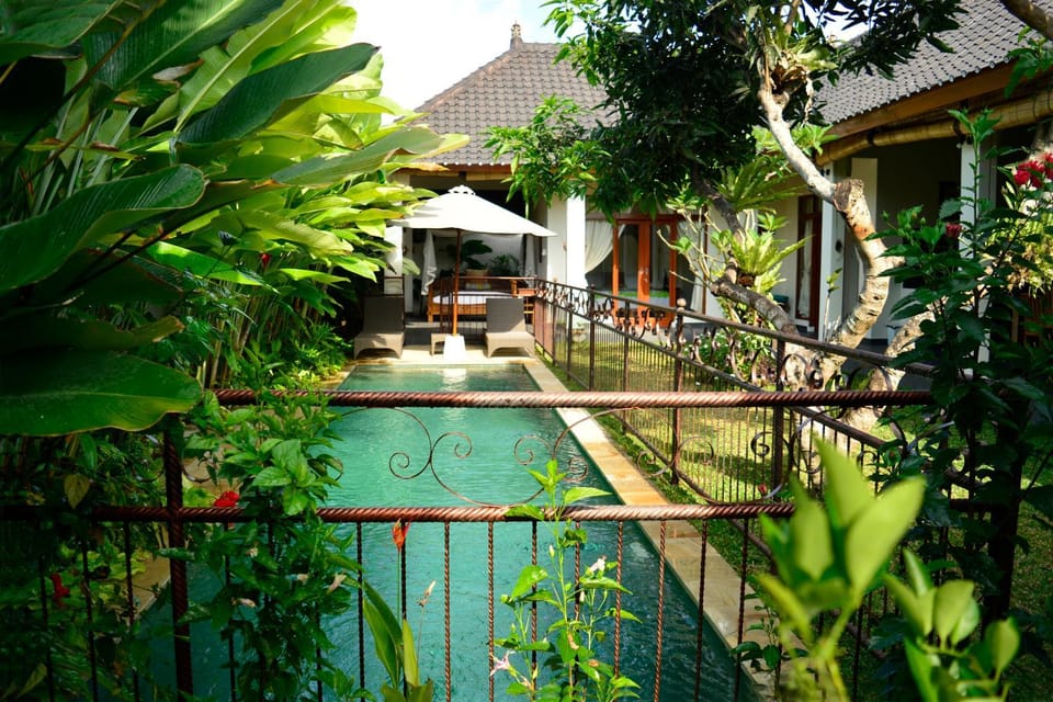 Day, Garden, Garden view, Pool view, Swimming pool