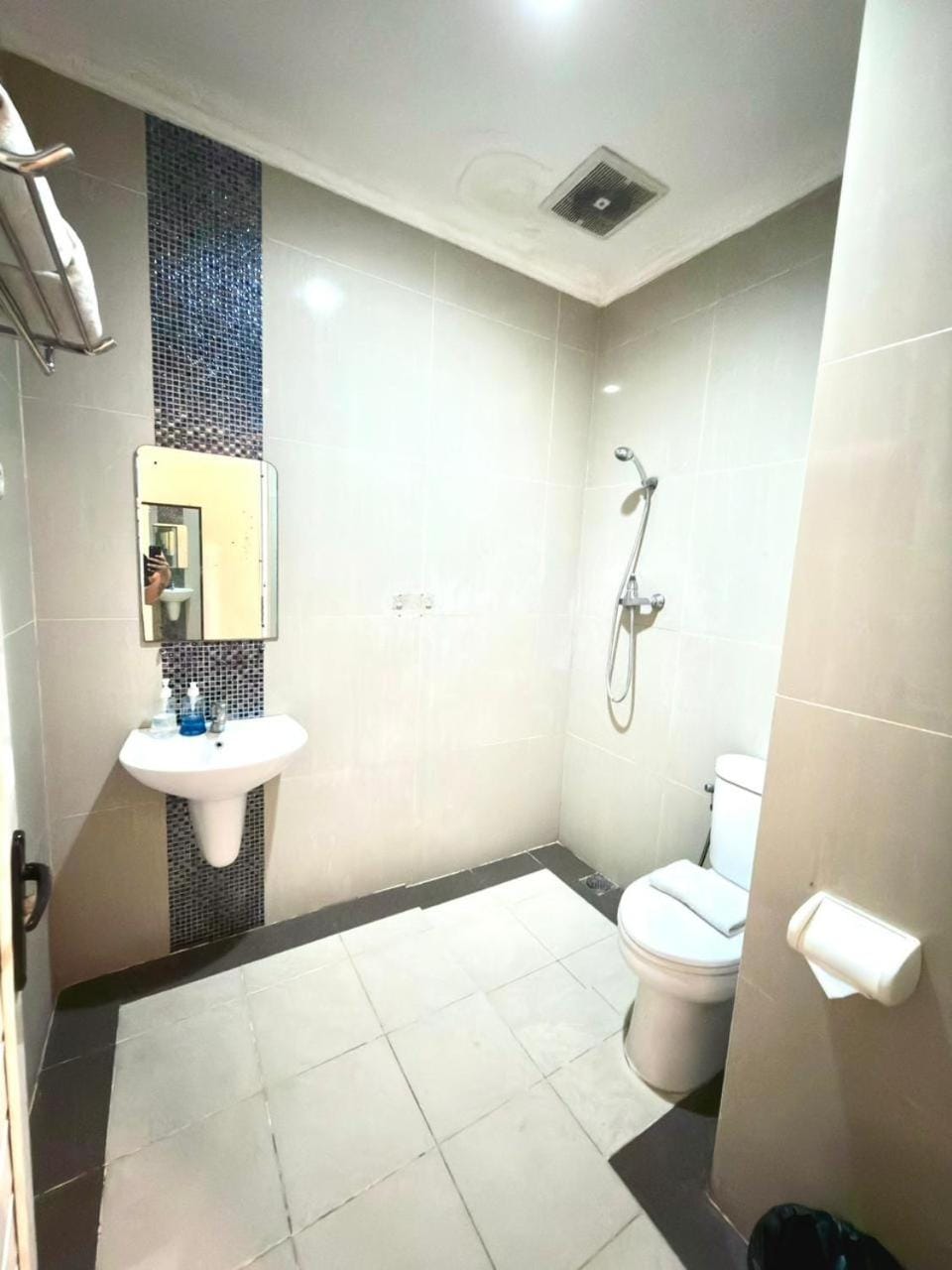 Shower, Toilet, Bathroom