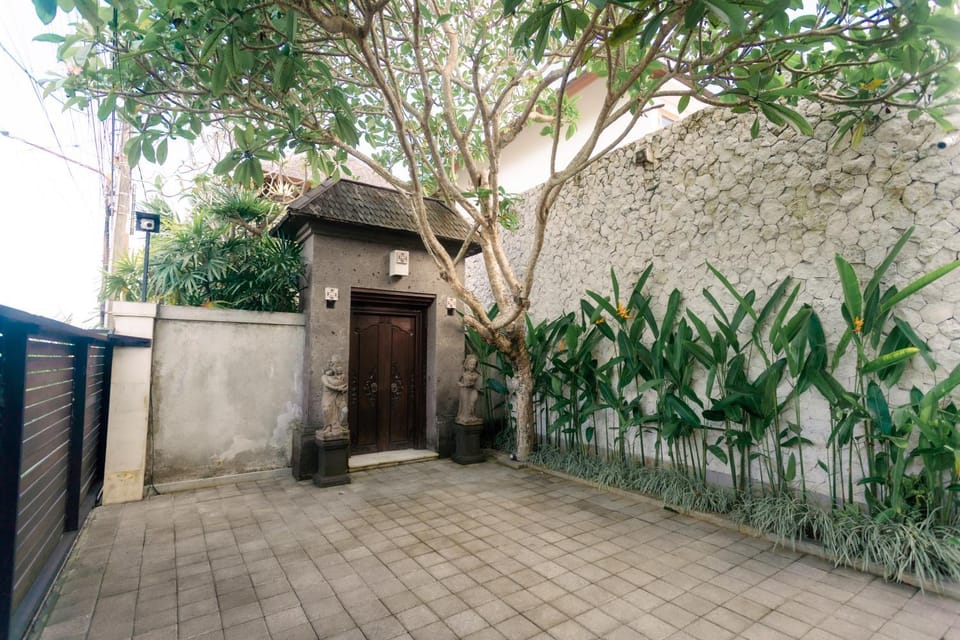 Day, Garden, Garden view