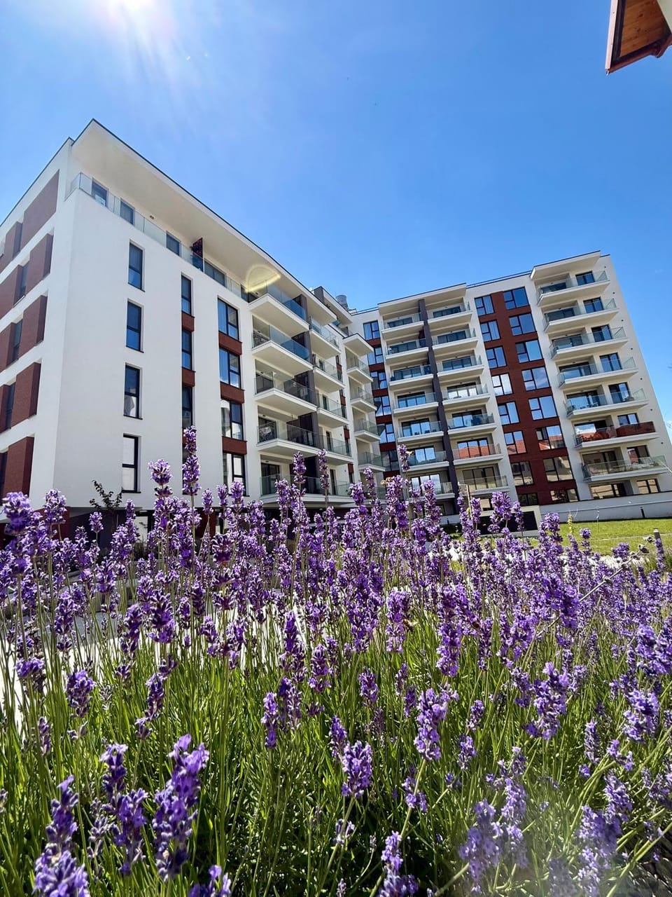 Azabia Luxury Apartments - Central Nest 5 Apartment in Cluj-Napoca