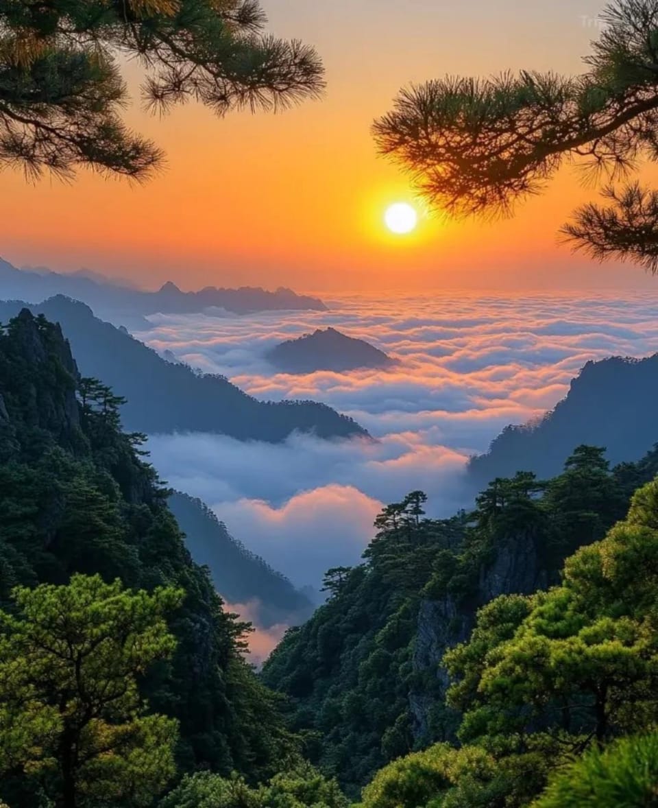 美豪丽致酒店黄山风景区南大门换乘中心店 Hotel in Zhejiang