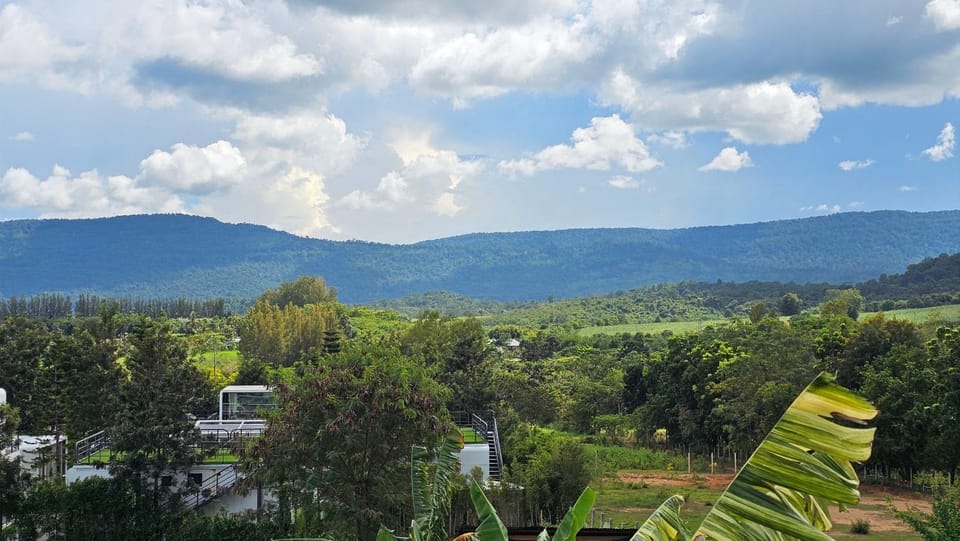 Garden, Mountain view