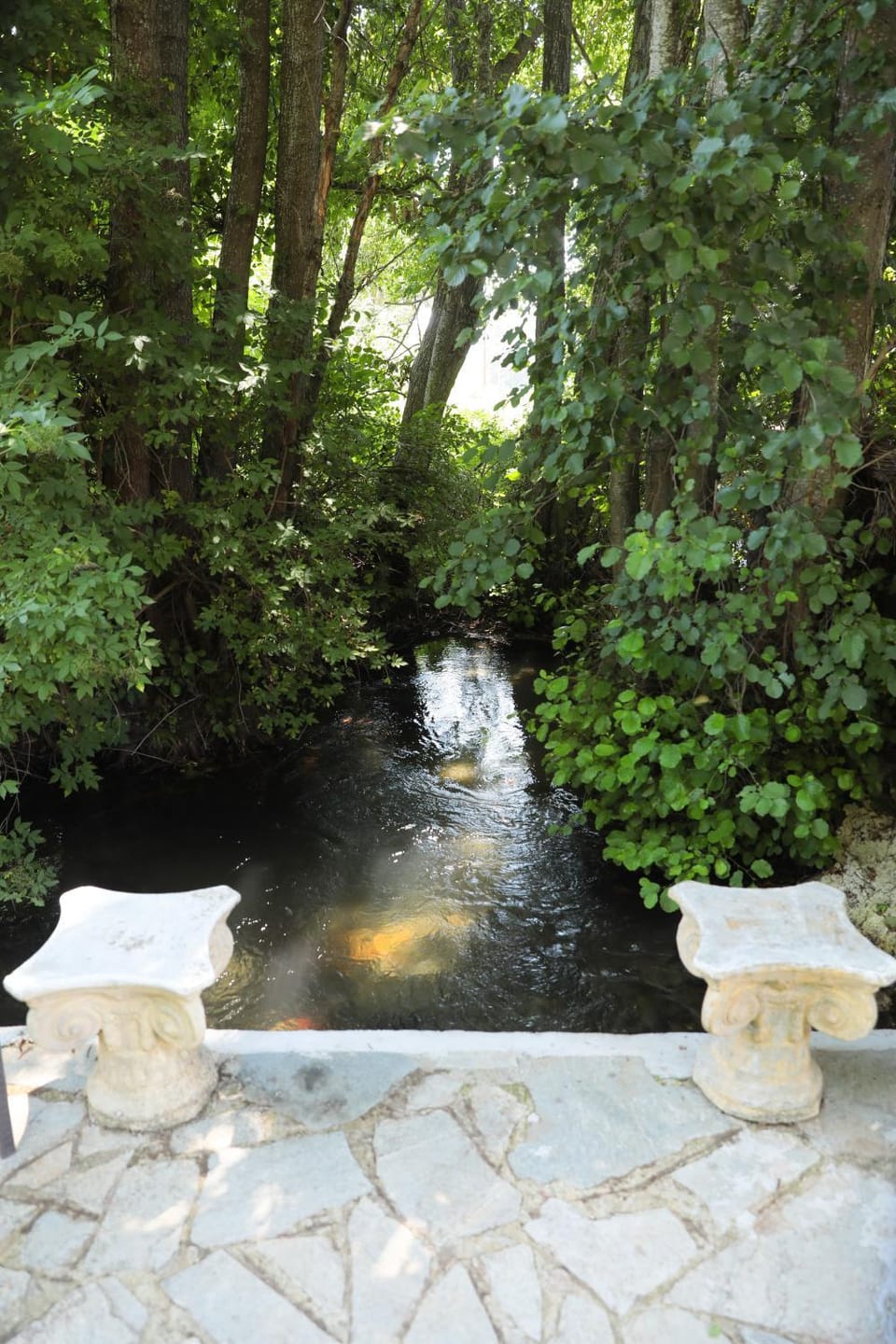 Spring, Natural landscape, Garden, River view