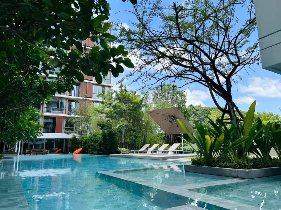 Hot Tub, Swimming pool