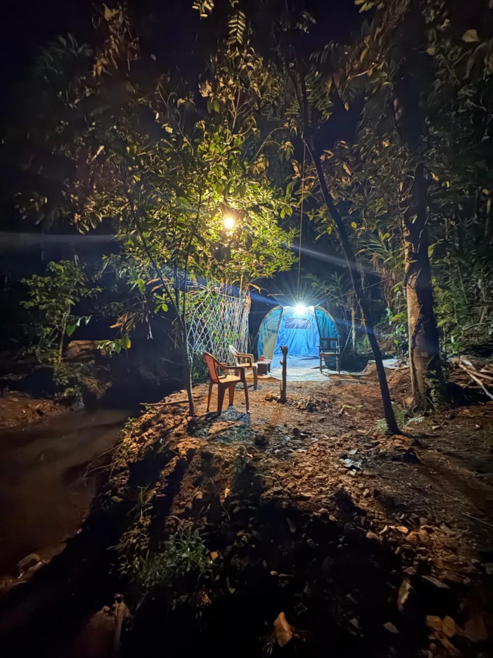 fRozeN NesT House in Kerala