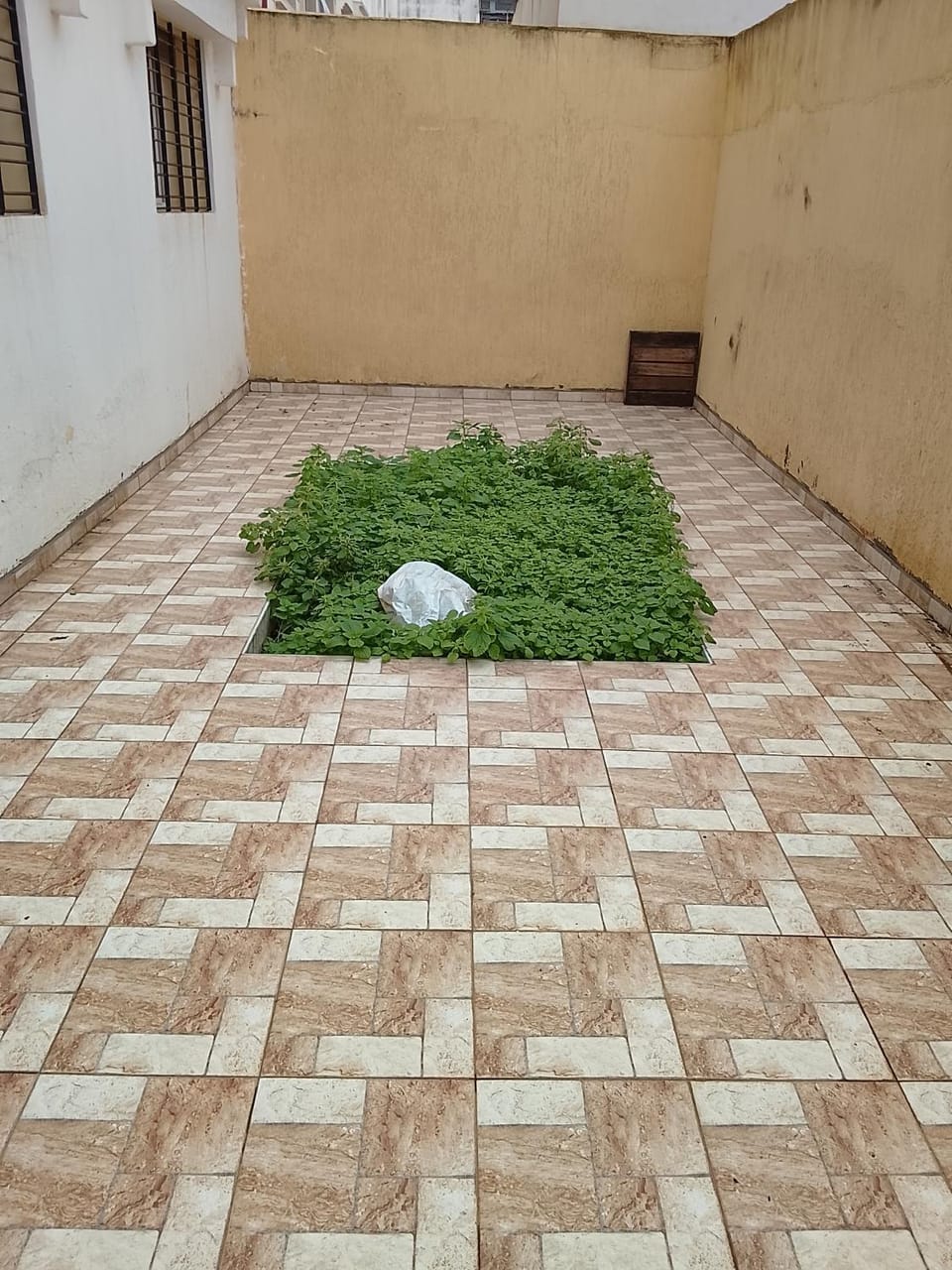 Razzak House in Rabat