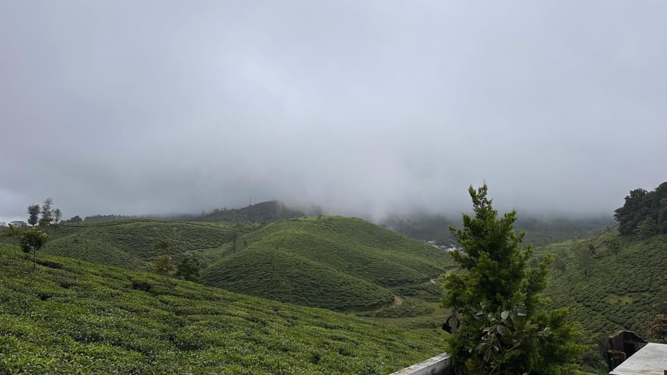 MiStY mOrNiNg HOME STAY Vacation rental in Kerala