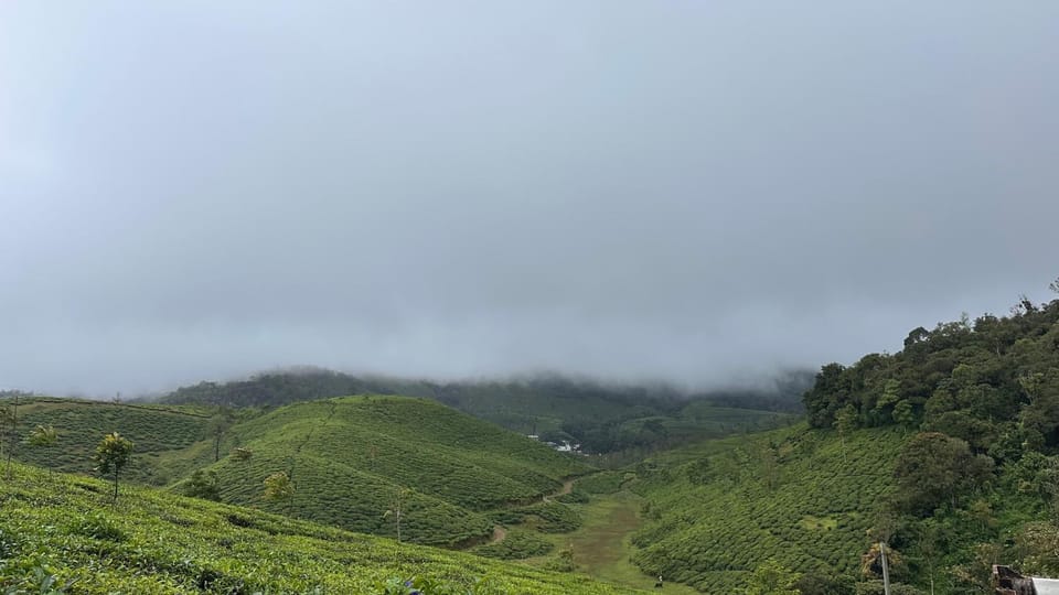 MiStY mOrNiNg HOME STAY Vacation rental in Kerala