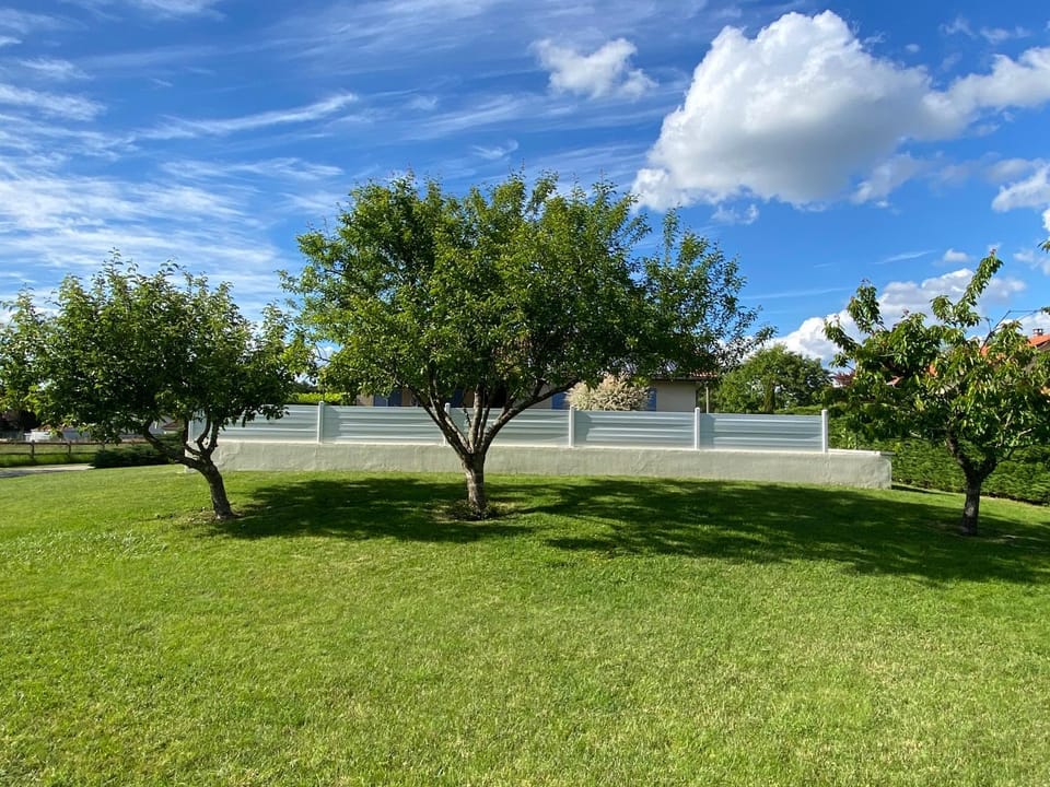 Garden view