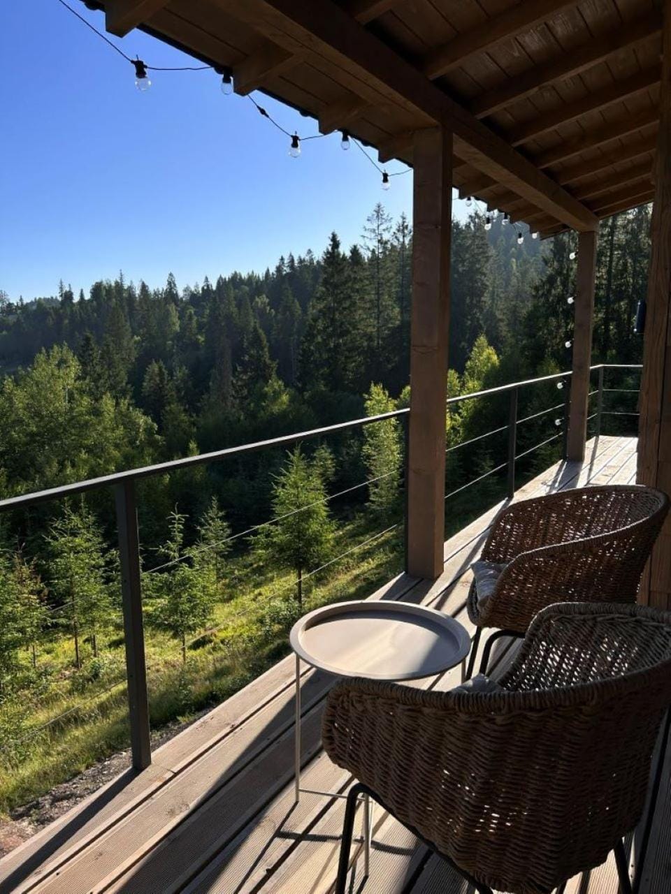 Property building, Library, Balcony/Terrace, furniture, furniture