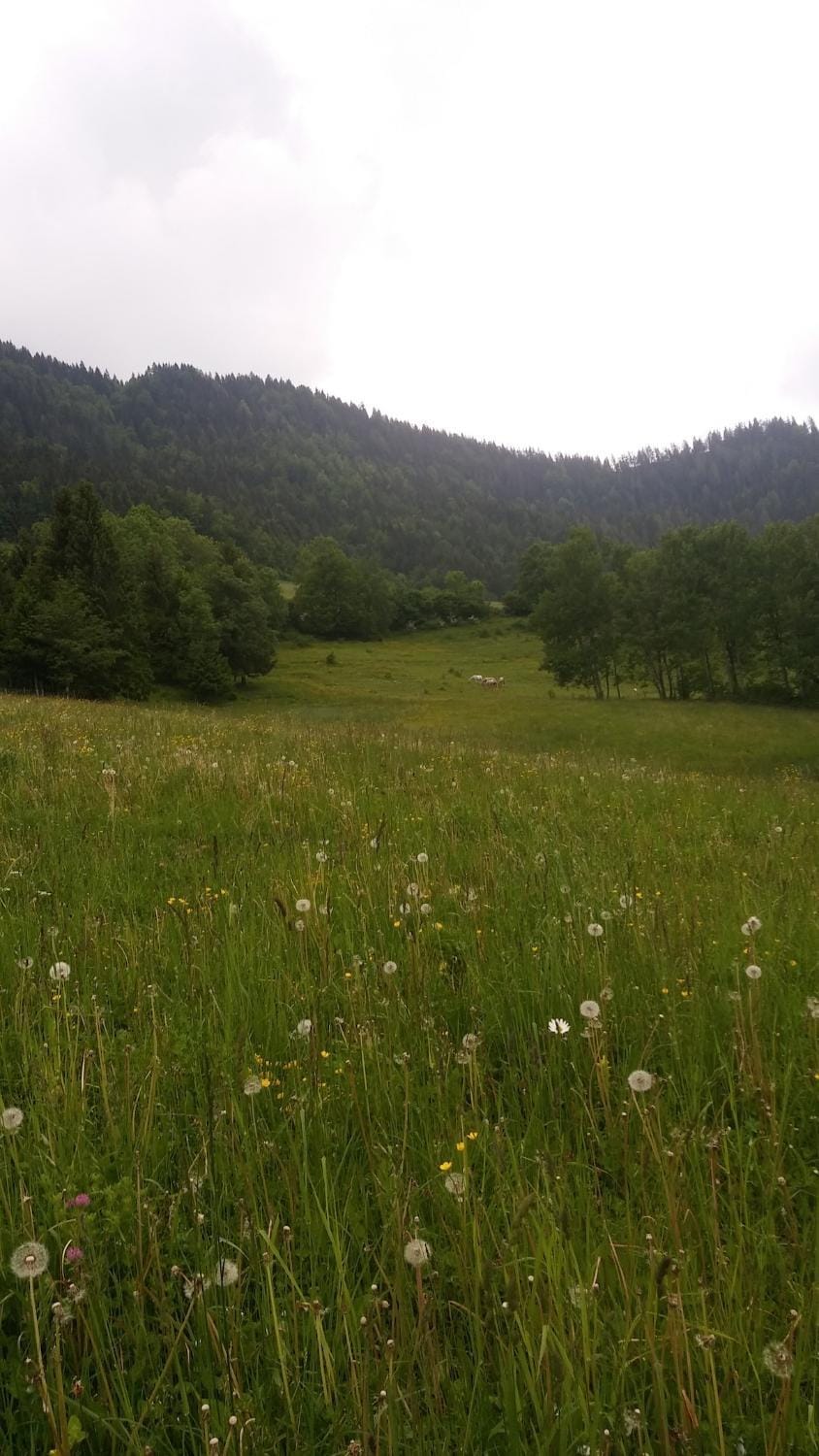 Apartma Spodnji Goltnik 1 Apartment in Carinthia, Austria