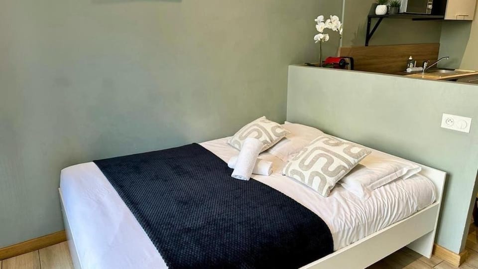 71 Lacassagne 2 - Studio - Partdieu Apartment in Villeurbanne