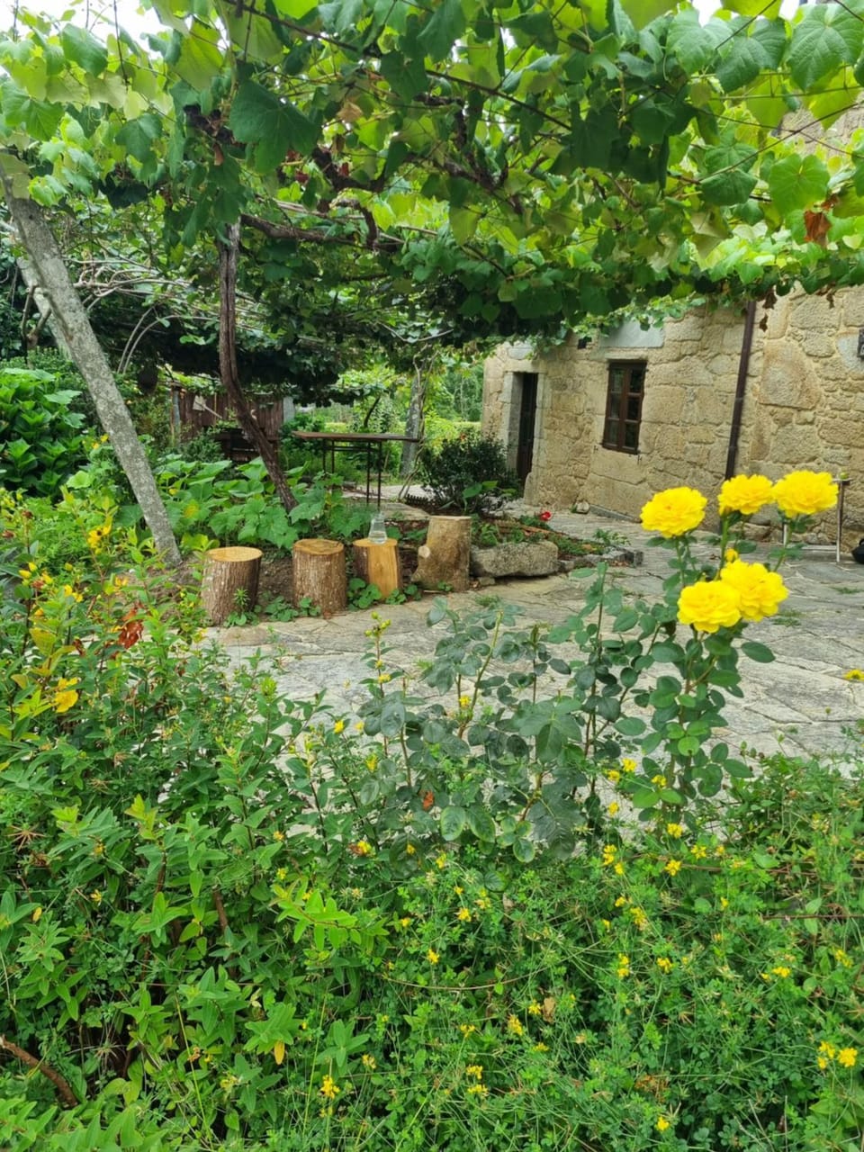 Casa Gasamáns Nature lodge in Galicia