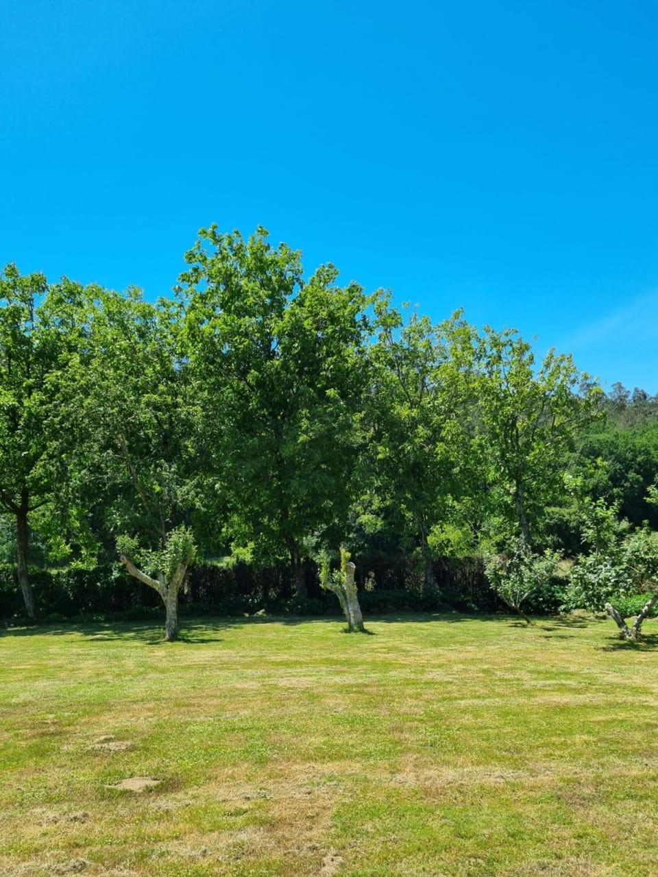 Casa Gasamáns Nature lodge in Galicia