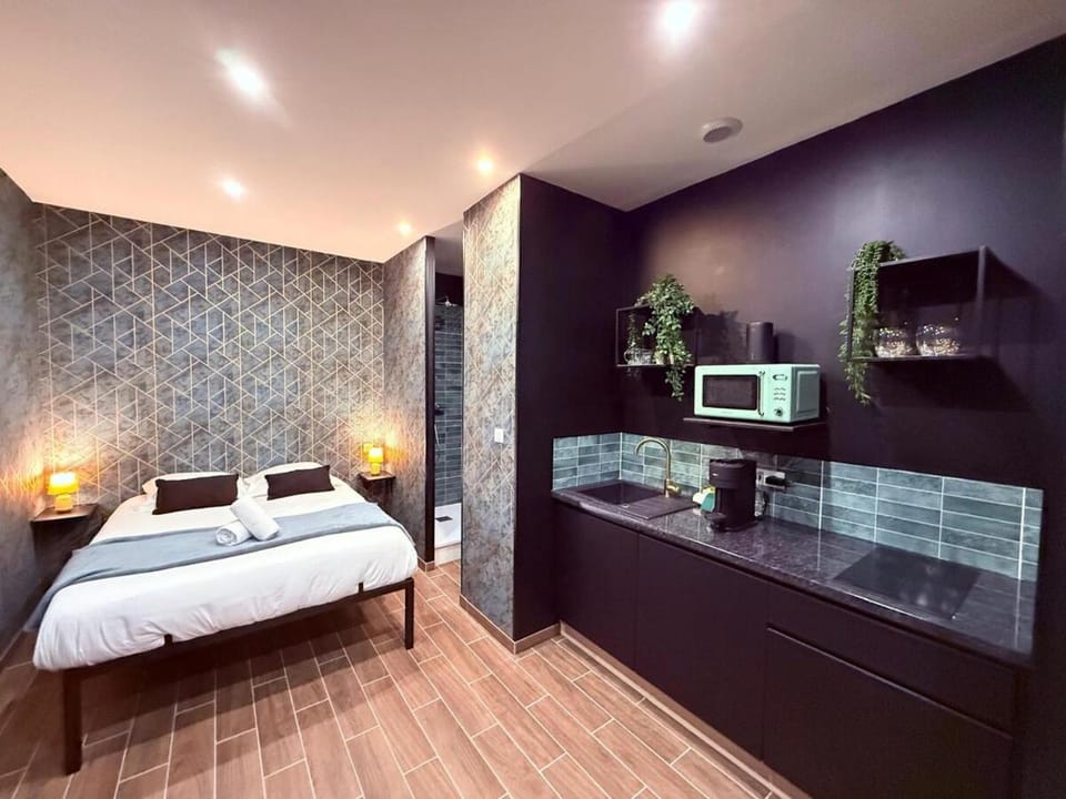 Lafargue 1 - Studio - Villeurbanne Apartment in Villeurbanne